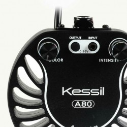 kessil A80